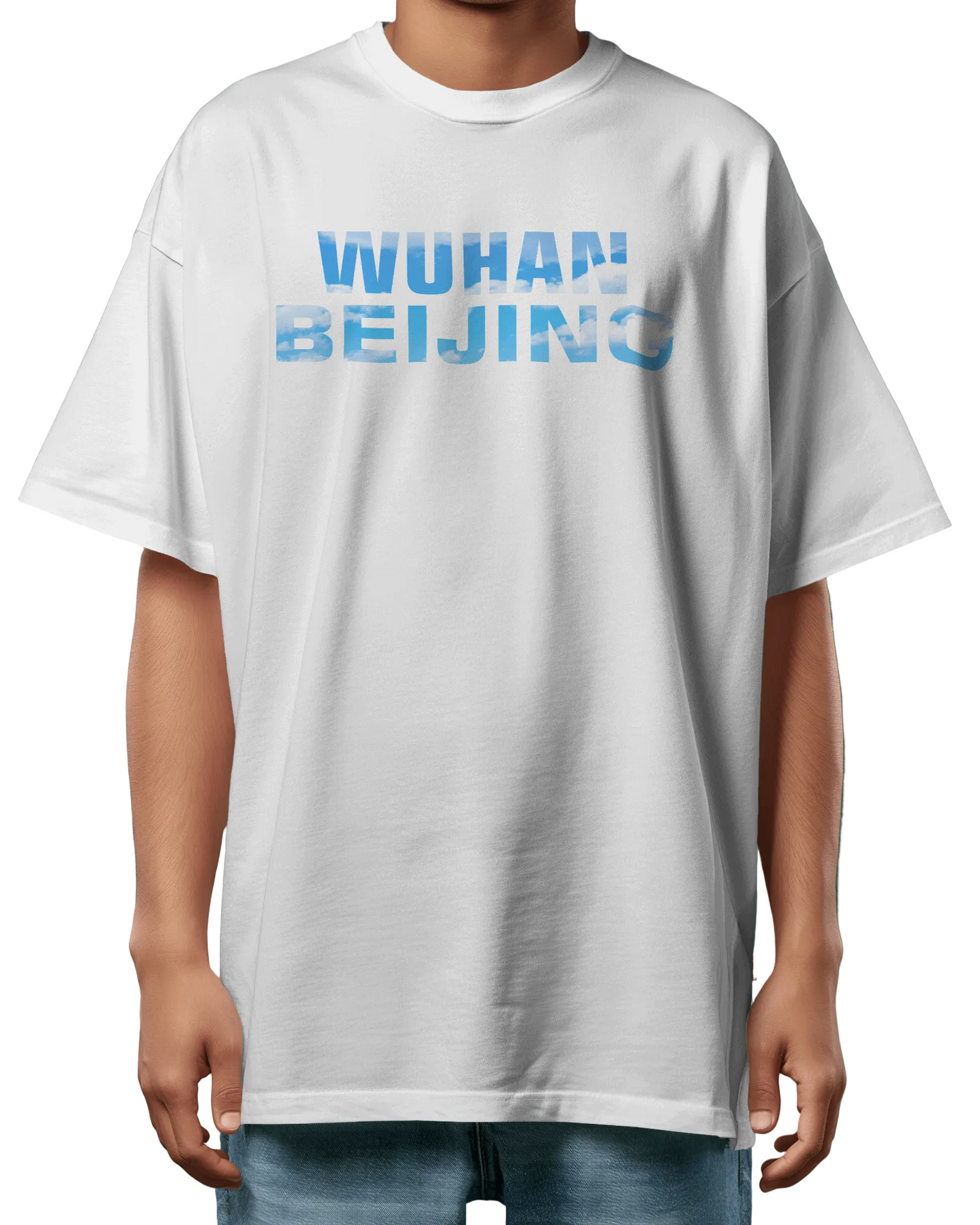 Japanese Hokan ji Temple Oversized T-Shirt Print