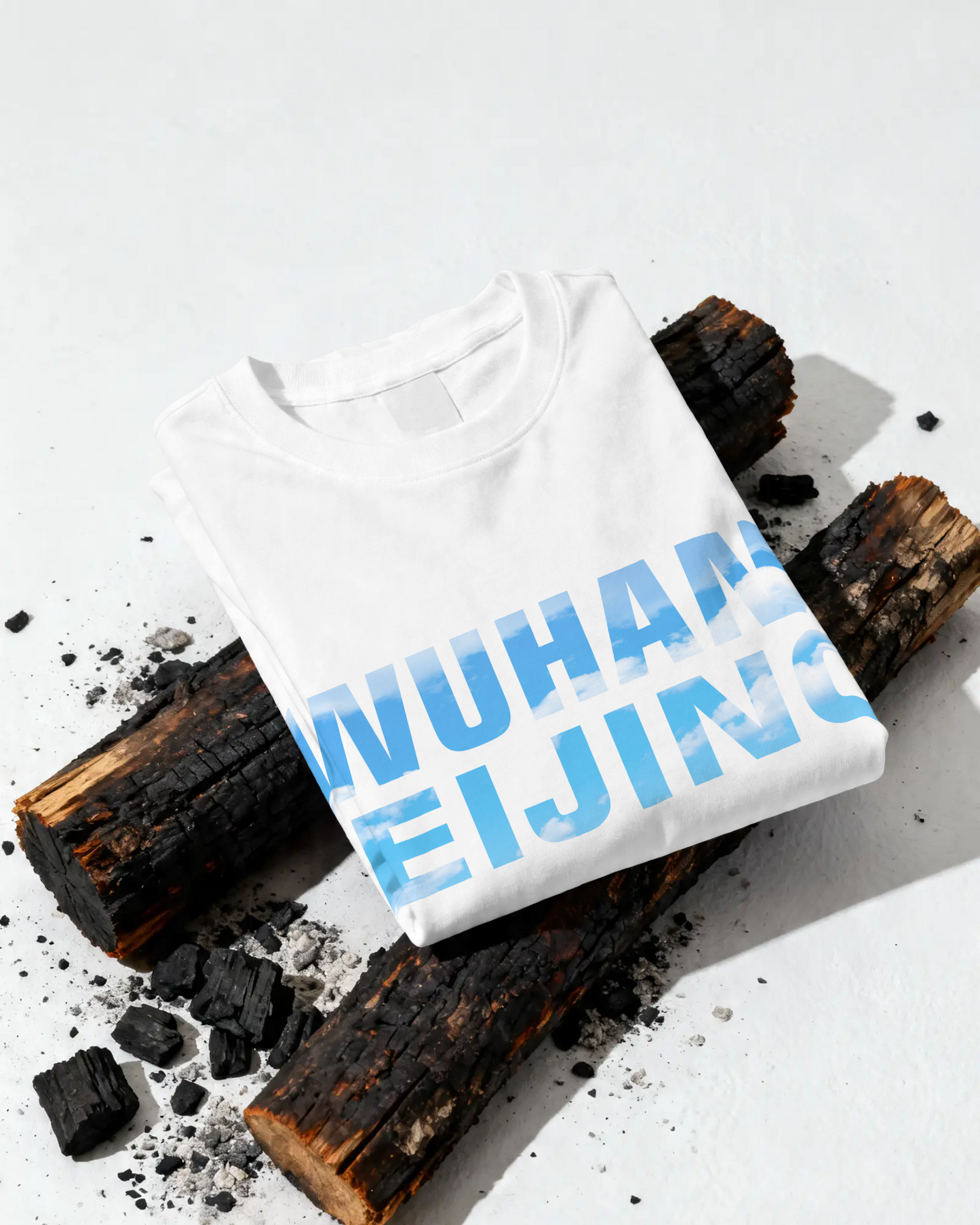 Japanese Hokan ji Temple Oversized T-Shirt Print