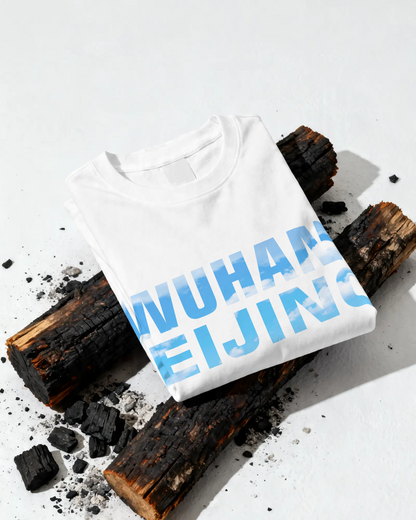Japanese Hokan ji Temple Oversized T-Shirt Print